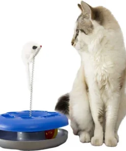 Brinquedo Chalesco Kitty Ball Cores Variadas