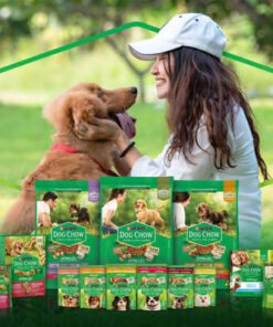Ração Úmida Nestlé Purina Dog Chow Sachê Carne para Cães Adultos