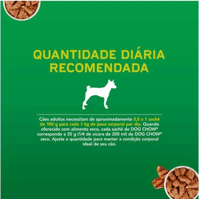 Ração Úmida Nestlé Purina Dog Chow Sachê Carne para Cães Adultos